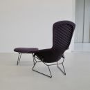 Bird Sessel designed by Harry Bertoia für Knoll, 1960er